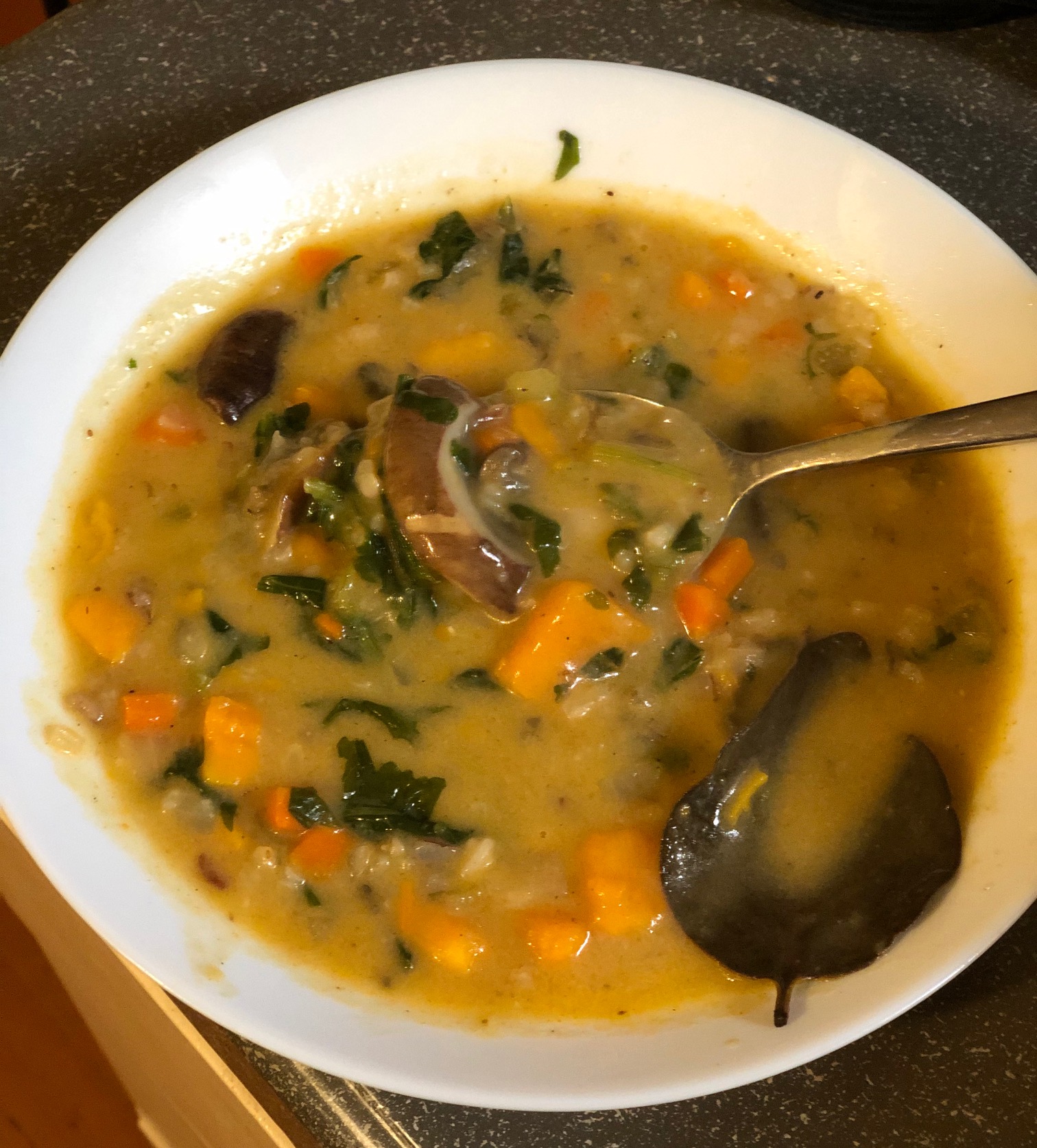 Autumn Wild Rice Soup